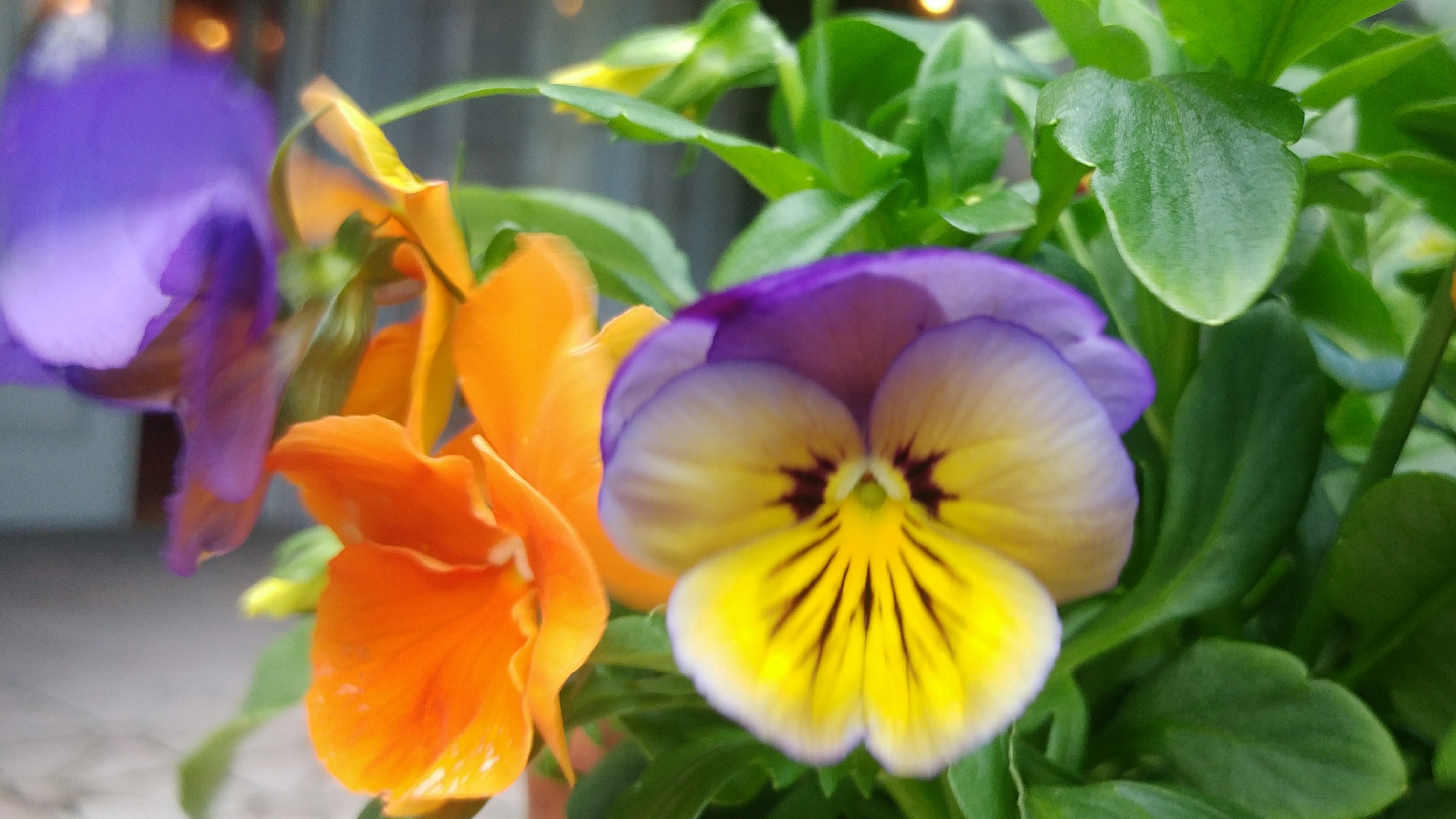 SMART and FUNNY TALK